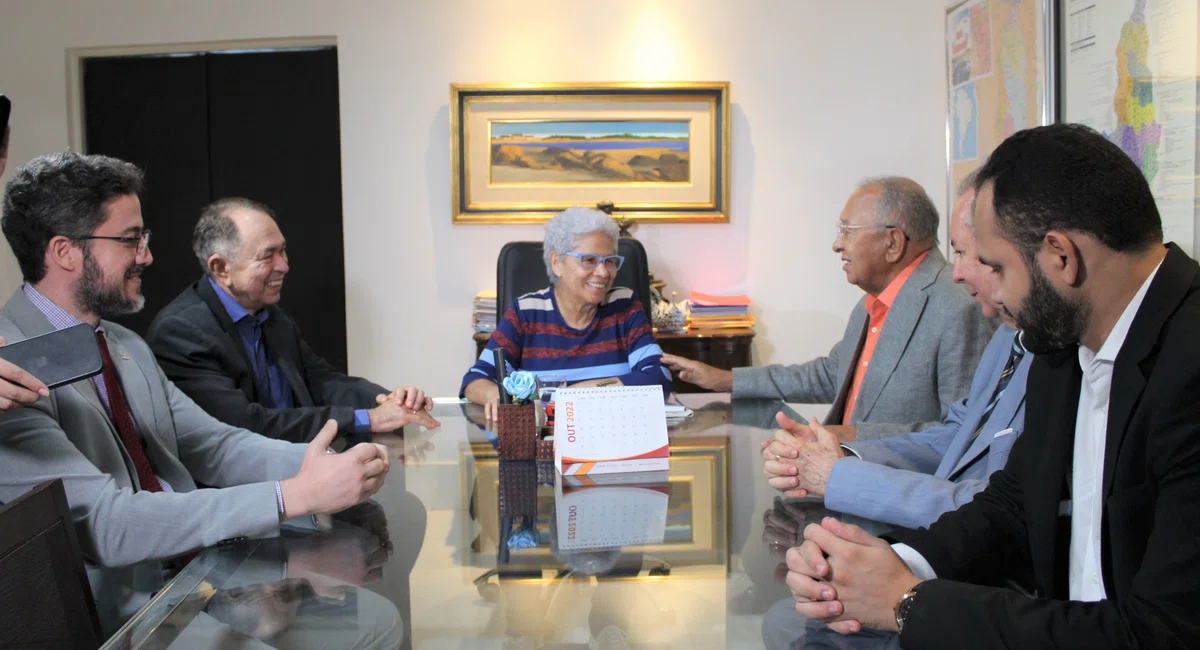 Governadora Regina Sousa se reúne com Dr. Pessoa