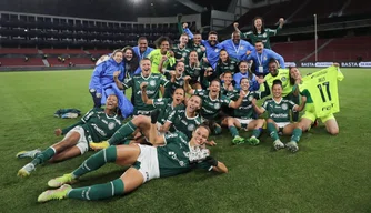 Palmeiras garante semi da libertadores após vencer time chileno