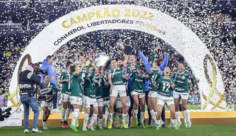 Palmeiras conquista título inédito da Libertadores da América.
