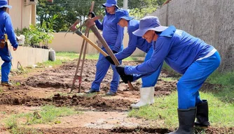 Internos do sistema prisional cultivam pomar no CSU do Parque Piauí