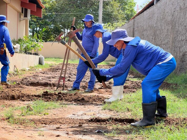 Internos do sistema prisional cultivam pomar no CSU do Parque Piauí