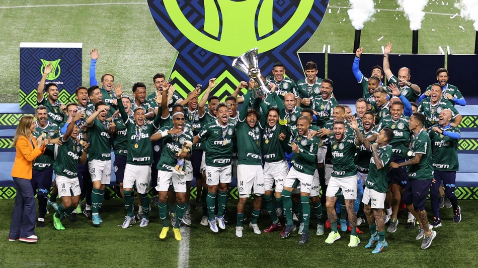 Palmeiras vs América-MG