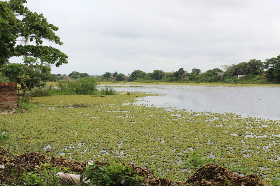 Lagoa localizada na Vila Inferninho no bairro São Joaquim