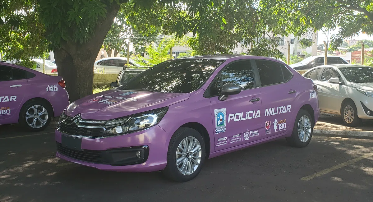 Secretaria de Segurança do Estado faz entrega de viaturas lilás