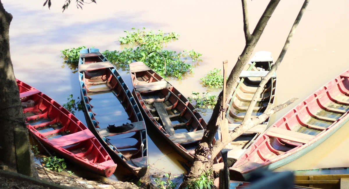 Canoas no Encontro dos Rios