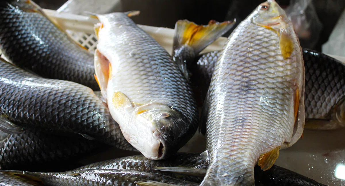 Início da Quaresma no Mercada do Peixe em Teresina