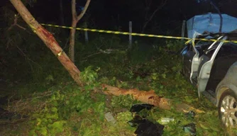 Idoso morre após colidir carro em árvore na BR-343 em Floriano.