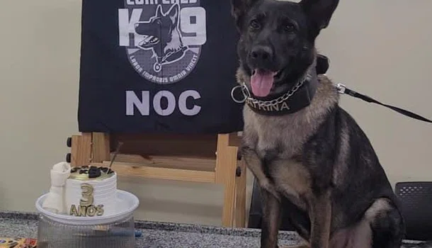 Polícia Civil do Piauí comemora aniversário de cadela pastor-alemão
