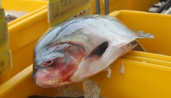 Vendas no Mercado do Peixe na Semana Santa