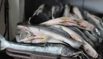 Vendas no Mercado do Peixe na Semana Santa