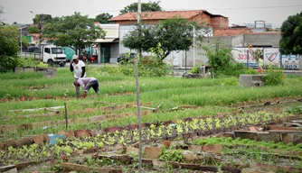 Horta do Dirceu