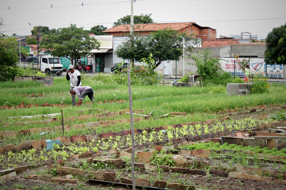 Horta do Dirceu