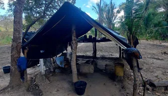 24 pessoas são resgatadas de trabalho análogo à escravidão no Piauí.