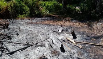 Área de vegetação queimada