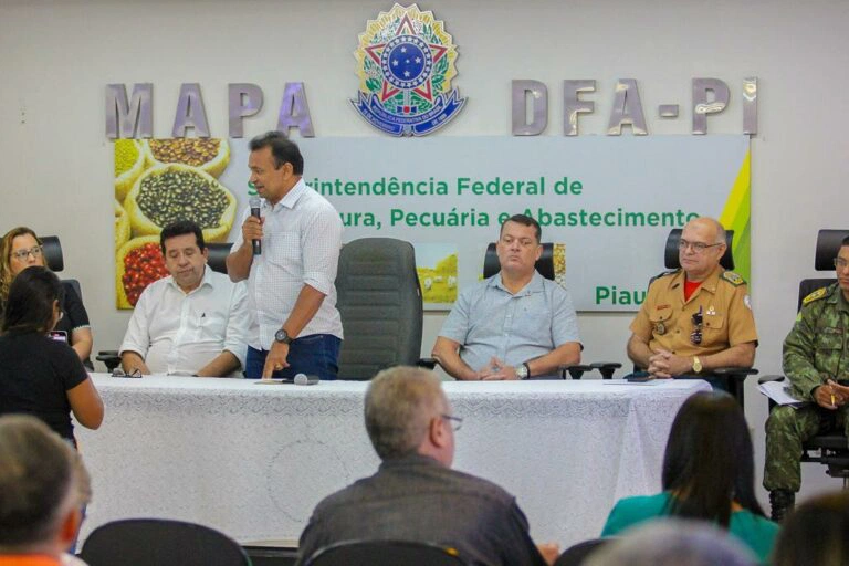 Piauí cria grupo técnico para prevenir e combater  gripe aviária.