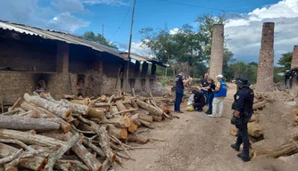 Polícia Civil destrói 5 kg de entorpecentes no município de Cocal