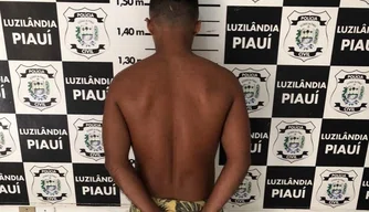 Polícia Civil prende homem por furto e receptação em Luzilândia