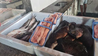 Venda de pescado sofre queda no Mercado do Peixe em Teresina
