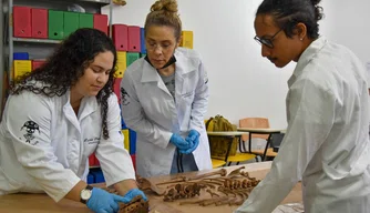 UFPI participa de estudo arqueológico sobre adolescente com séria má-formação congênita