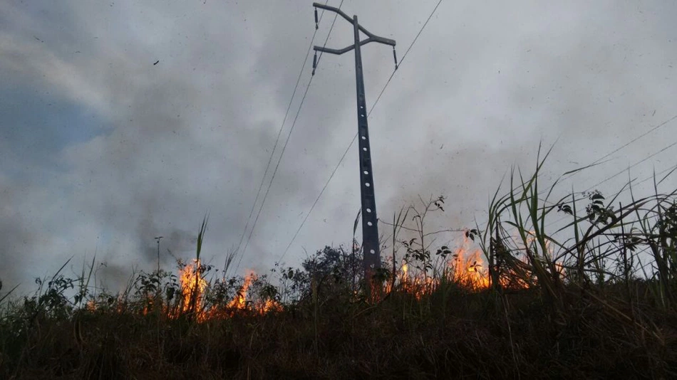 Primeiro semestre de 2023 apresenta 1.800 ocorrências de danificação da rede elétrica por queimadas.