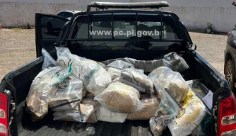 Polícia Civil incinera drogas em Picos