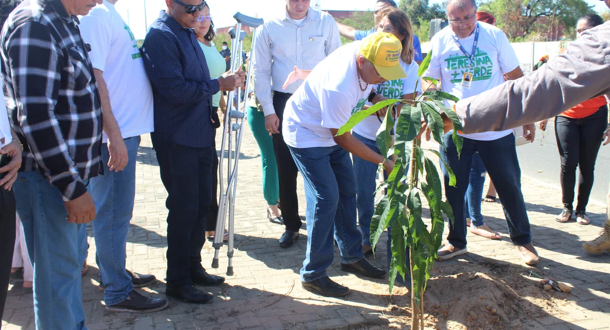 Dr. Pessoa planta o novo canteiro central na zona Sul de Teresina
