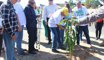 Dr. Pessoa planta o novo canteiro central na zona Sul de Teresina