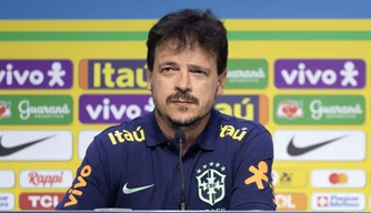 Técnico da Seleção Brasileira Fernando Diniz.