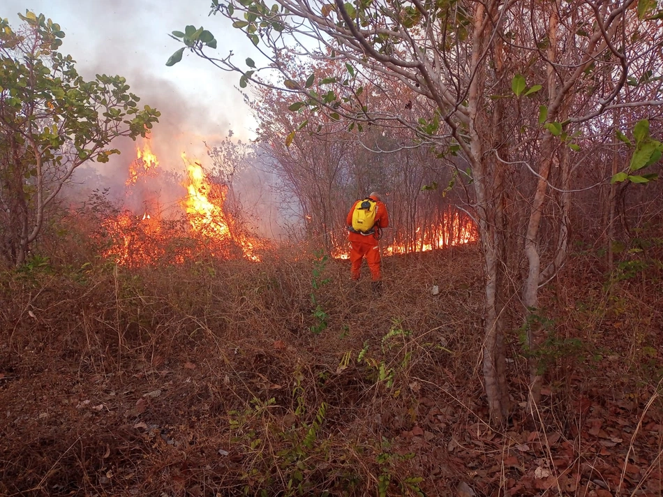 Incêndio florestal em Canto do Buriti