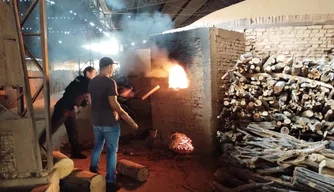 Polícia Civil incinera 70kg de drogas no município de Bom Jesus