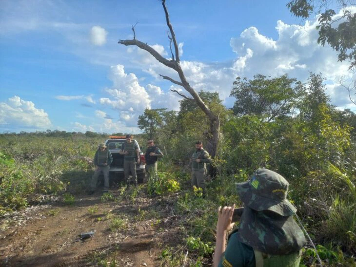 Semarh registra redução de 59% no desmatamento ilegal dos cerrados