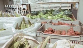 Piauí regulamenta Programa de Alimentação Saudável