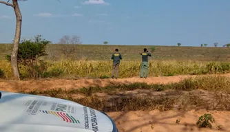 Operação Mata Atlântica em Pé no Piauí