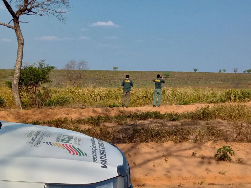 Operação Mata Atlântica em Pé no Piauí