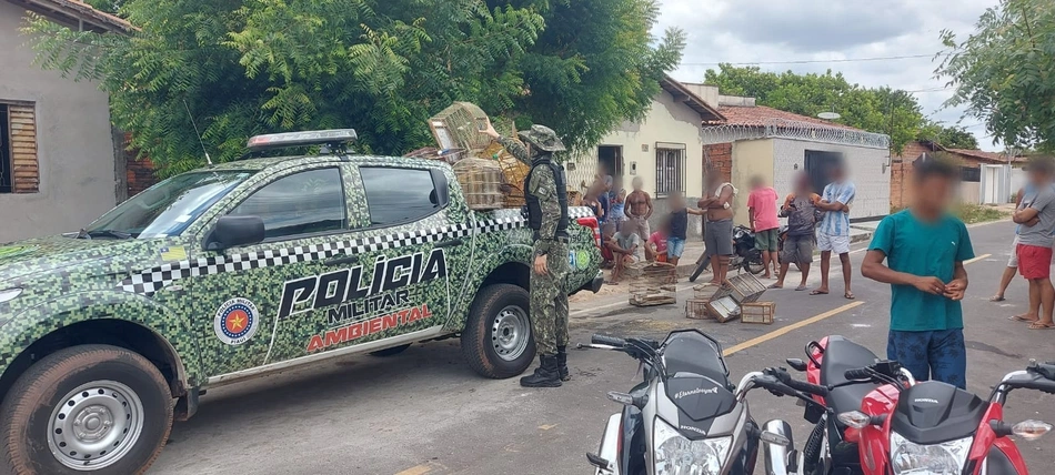 Polícia Ambiental apreende 40 aves