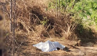Homem é morto a facadas no município de Palmeirais