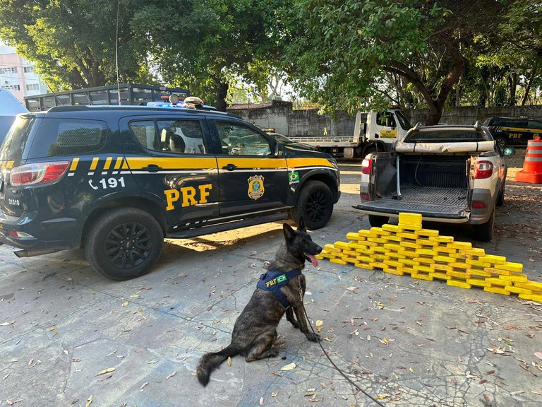 Apreensão de drogas em Teresina