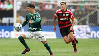 Palmeiras e Flamengo