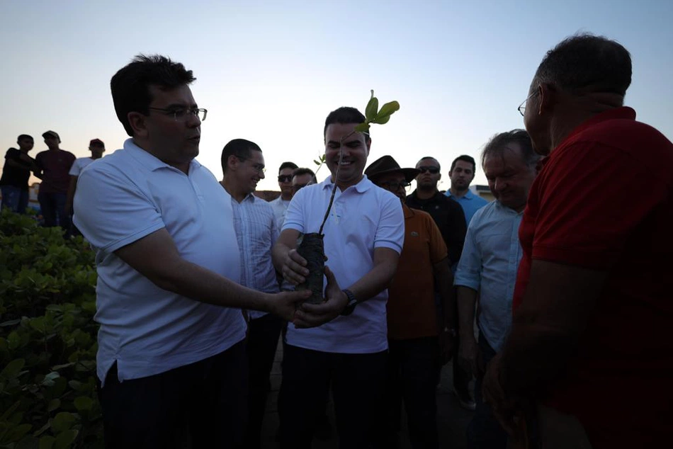 Mudas de plantas são distribuídas