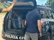 Acusados de estuprar crianças são presos no DF