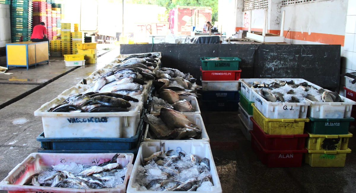 Mercado do Peixe, Bairro São João.
