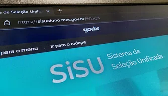 Sisu 2024