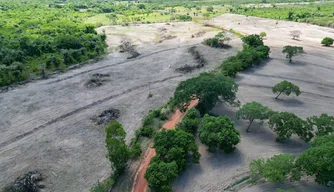 Semarh durante fiscalização identifica 36 alertas de desmatamento no norte do estado