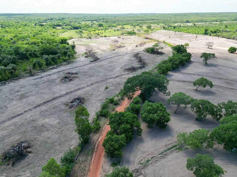 Semarh durante fiscalização identifica 36 alertas de desmatamento no norte do estado