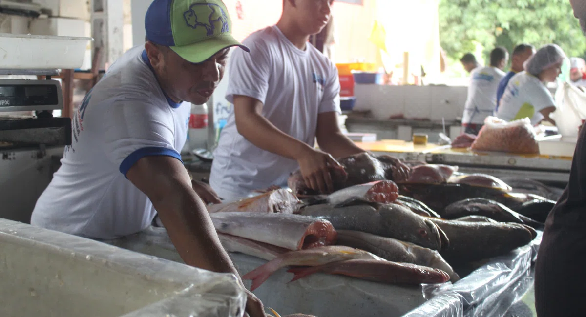 Mercado do peixe tem expectativa de aumento nas vendas na semana santa