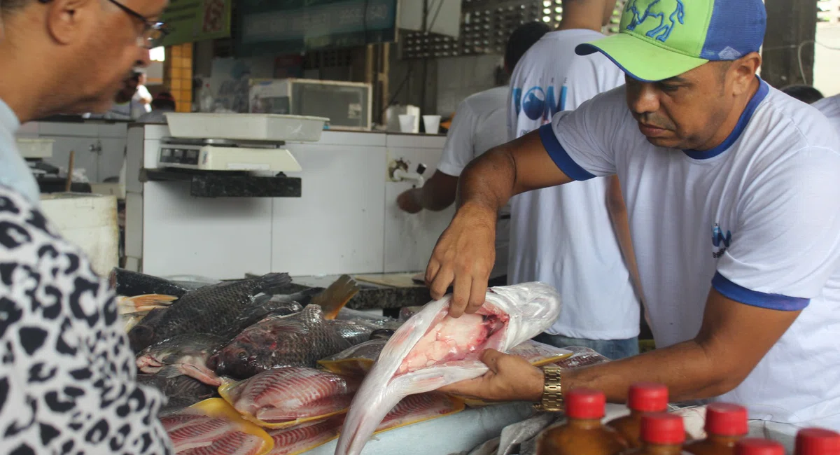 Mercado do peixe tem expectativa de aumento nas vendas na semana santa