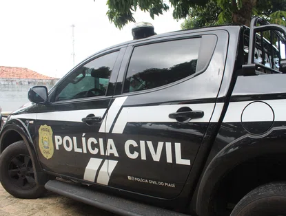 Suspeita de furto é presa durante Operação Figurinha Repetida em Floriano