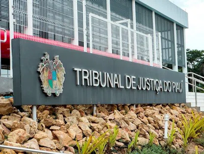 Força-Tarefa do TJPI: ação busca redução de mais de 101 mil processos pendentes