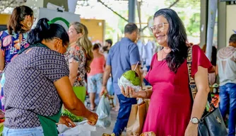 Frutas da estação são destaques na Quitanda da Agricultura Familiar