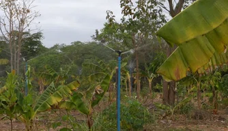 Equipamento de irrigaçaõ